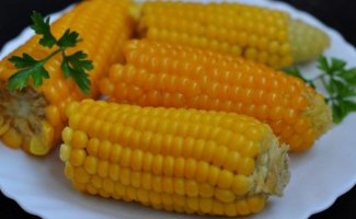 Сорта кукурузы самые популярные и самые вкусные