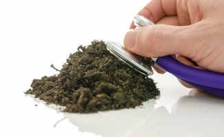 Грамотное обеззараживание рассадного грунта — залог здоровой рассады