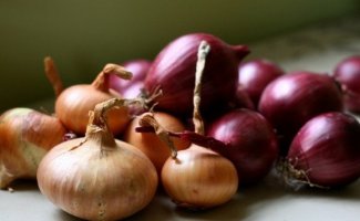 В чем польза репчатого лука, и как его выращивать