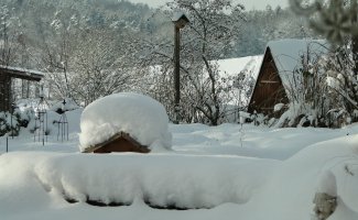 Ставлю щиты на участке в ноябре и получаю прекрасный урожай овощей