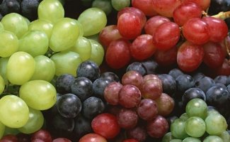 Как вырастить виноград из косточки и на какой результат рассчитывать?
