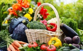 Что шептали наши прабабки над кустами для хорошего урожая