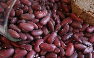 Польза фасоли красной, белой, зеленой стручковой и спаржевой