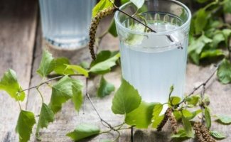 5 хмельных напитков, которые можно приготовить из березового сока
