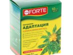Программа Адаптация Форте