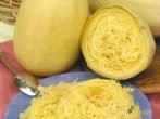 Поздние кабачки для Украины