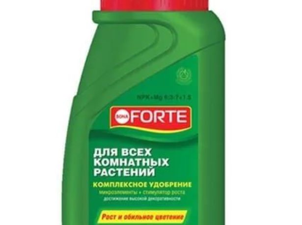 Подходящее удобрение для руэллии