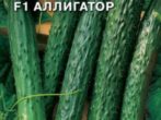 Огурец Аллигатор F1