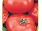 Семена томата Султан от компании «AgroElita»