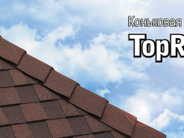 Коньковая черепица Katepal TopRidge