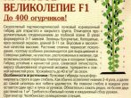 Оборот пакетика с семенами Пучкового великолепия